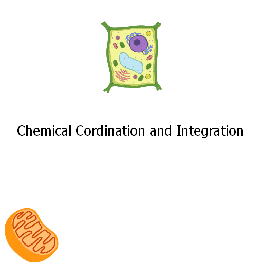 Chemical Cordination and Integration 